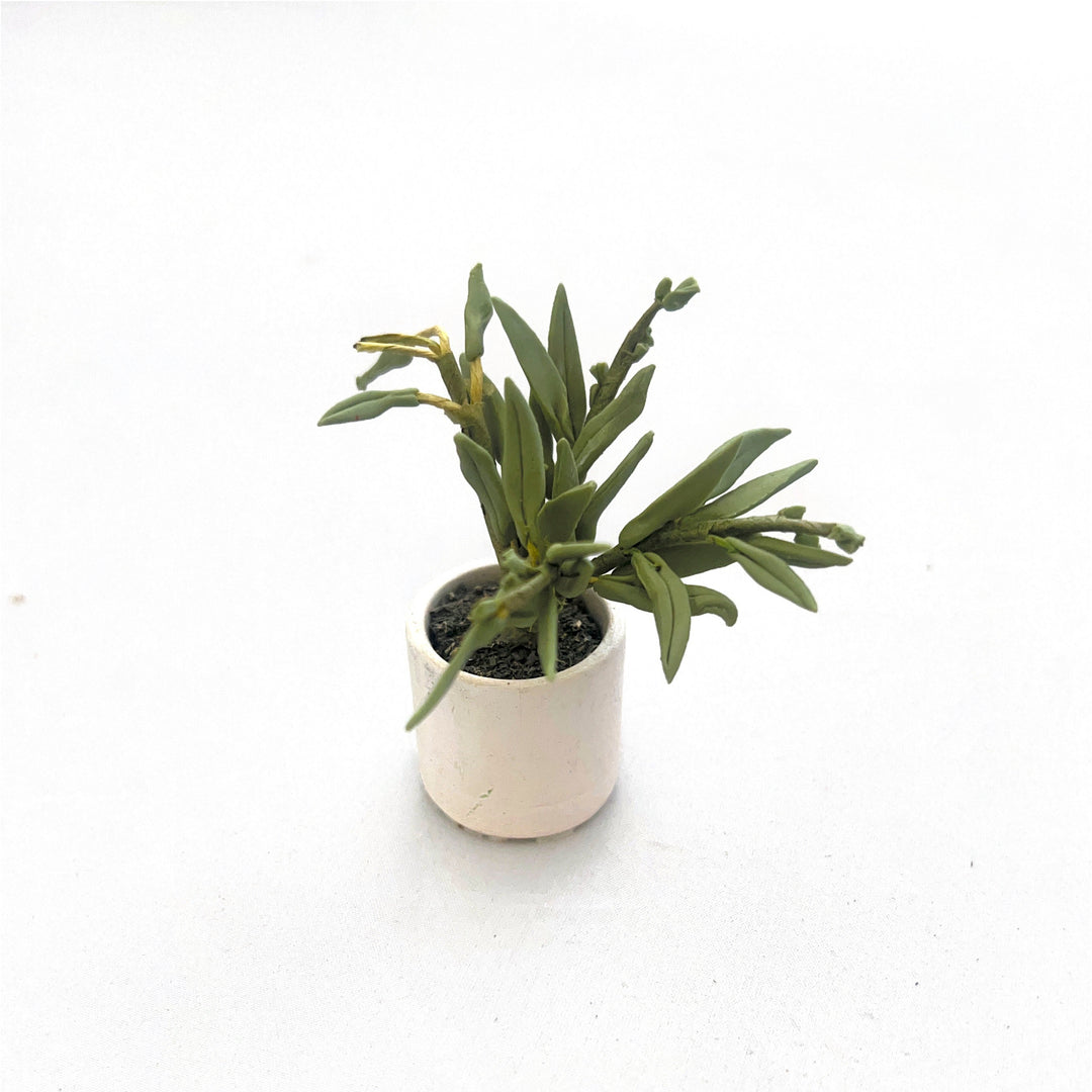 Lundby Dolls House Ex-Display - Pot Plant
